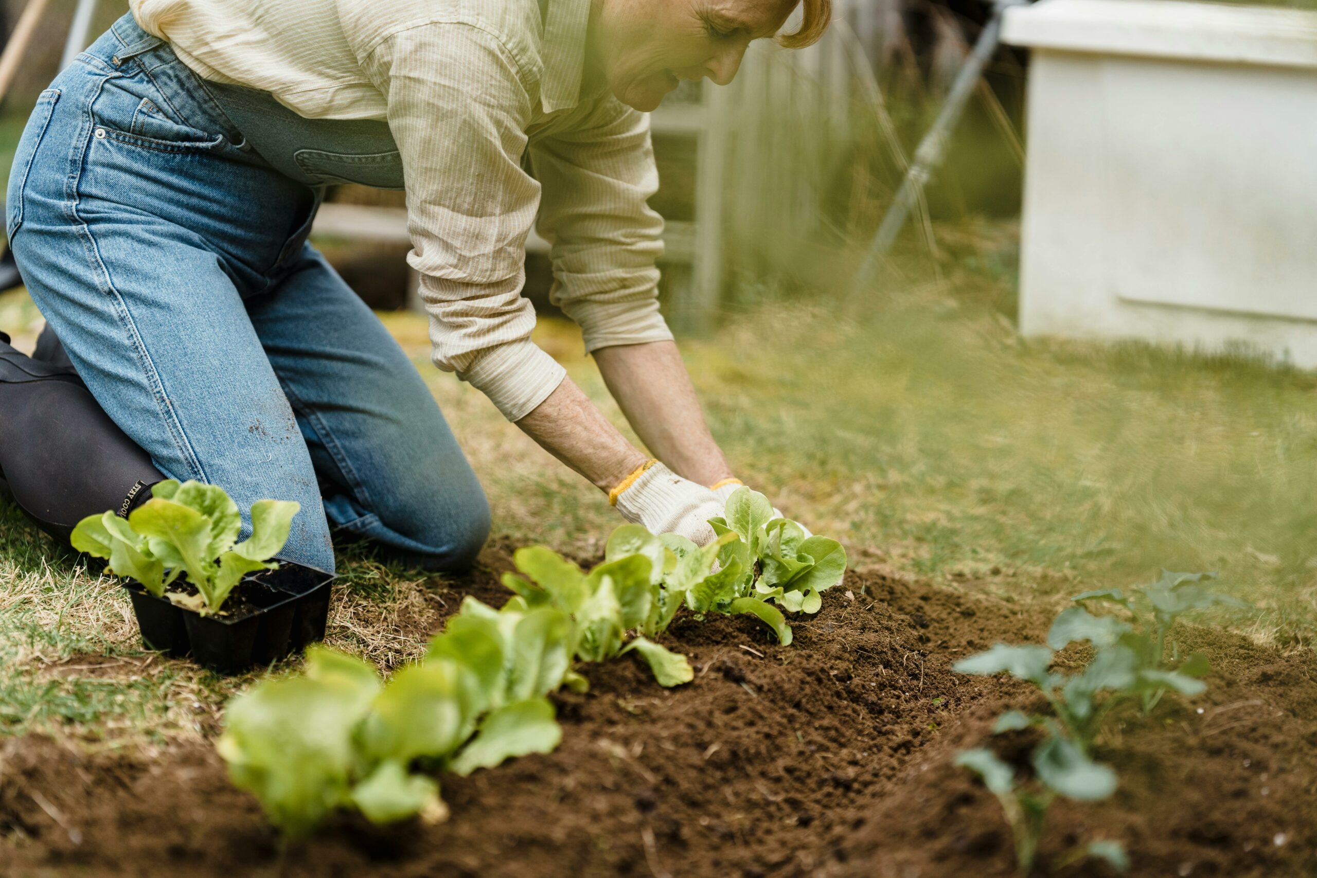 Woman gardening in senior living near San Dimas.